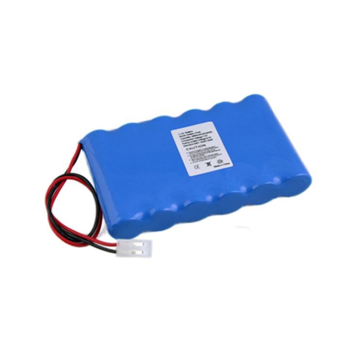 Lithium Ion Battery